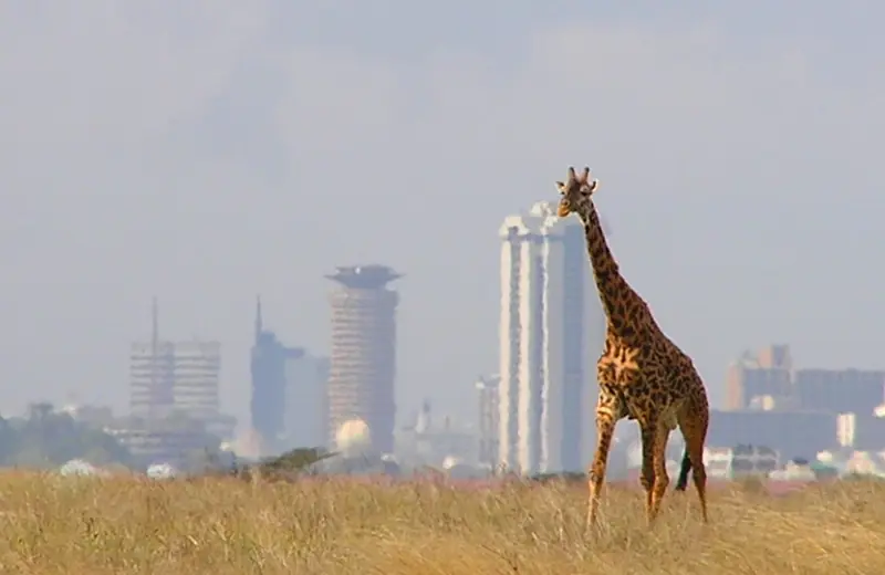 Nairobi, Kenya